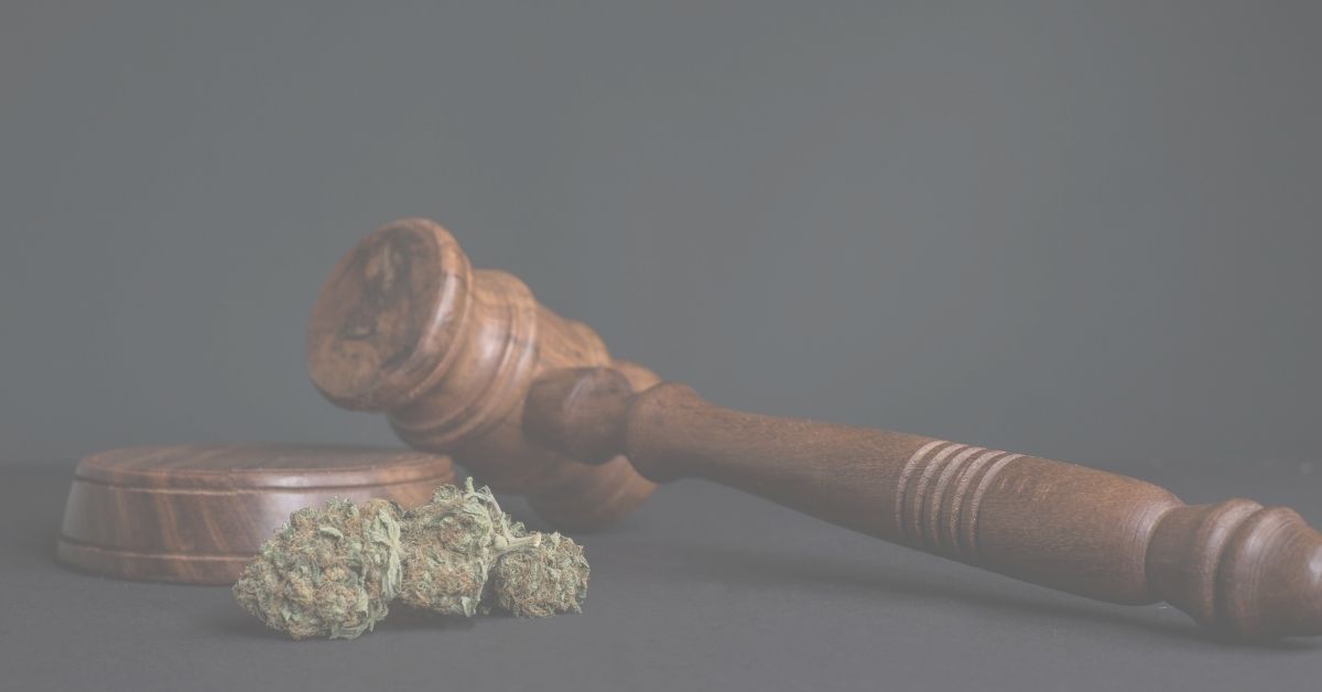4 Key Changes the Proposed MORE Act Mean for the Cannabis Industry
